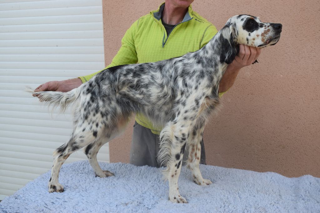 Lilou Du Clos De Perlin